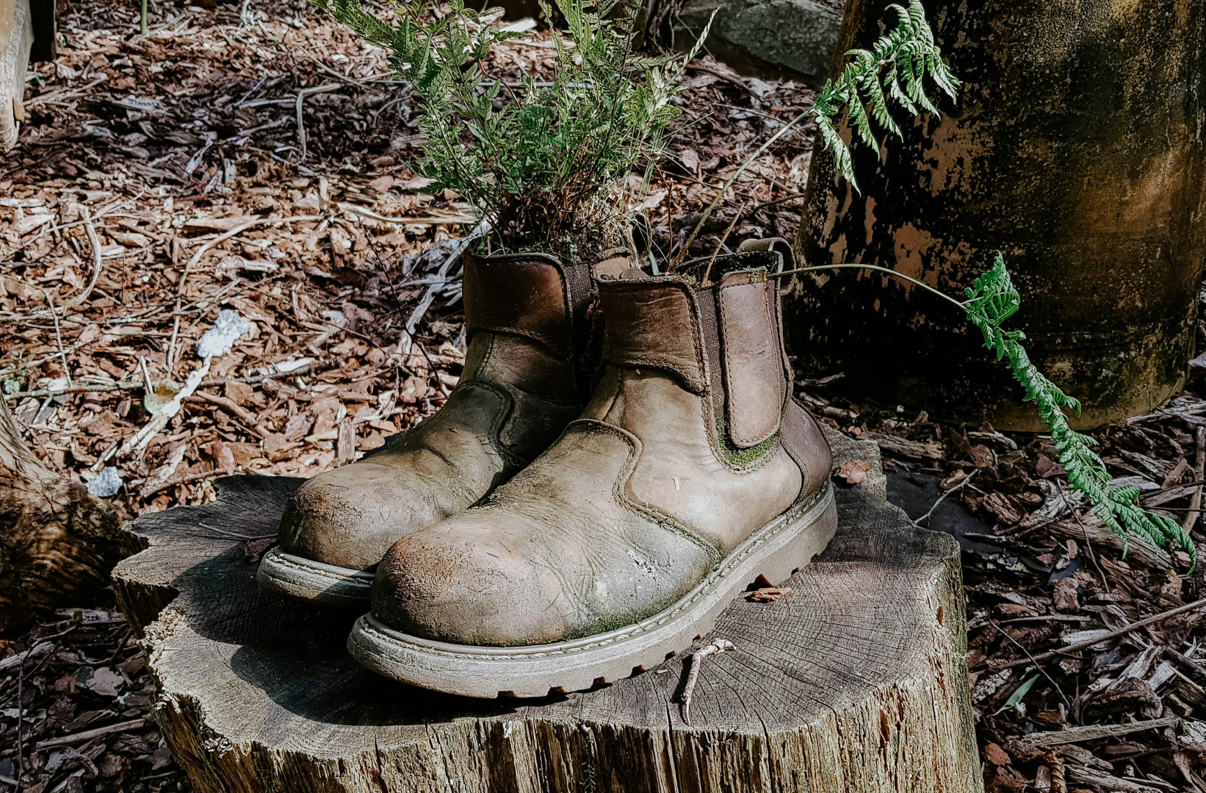 A Dive into Leather Biodegradability