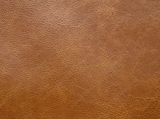 Upholstery  Tan
