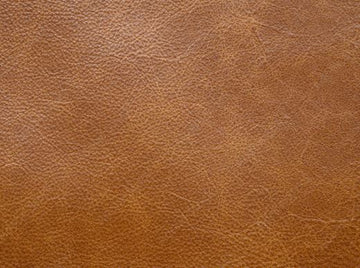 Upholstery  Tan